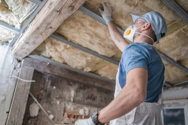 Trusted FL Insulation Contractor Experts